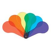 Primary Science Color Paddles